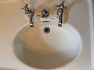 Vintage French Double Basin on Twin Pedestals C.1920 by Etablissment Porcher, Paris.